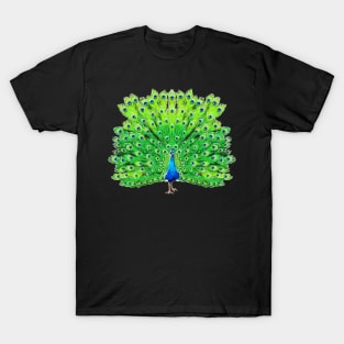 Proud as a Peacock T-Shirt
